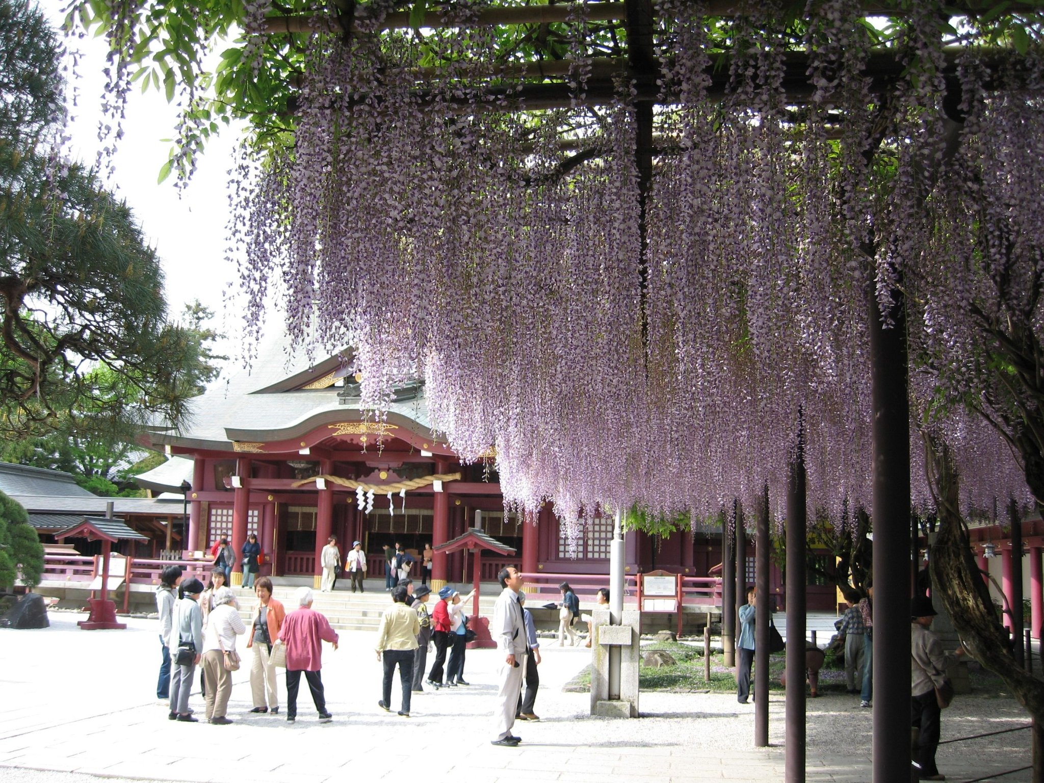 ⛩️ 가사마 이나리 신사 이미지 4